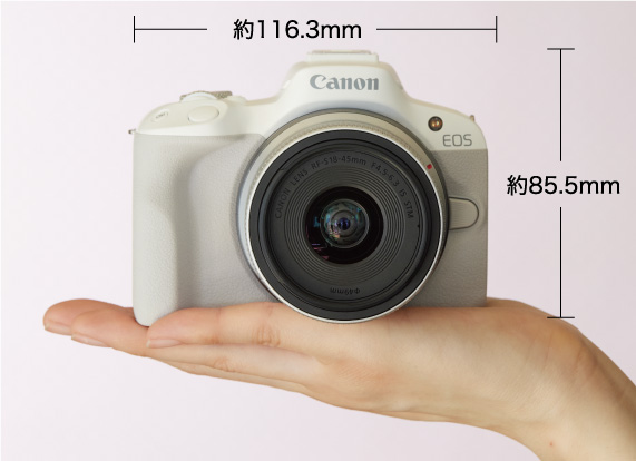 EOS R50 サイズ